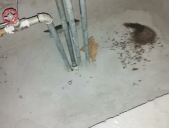 深州卫生间测漏水价格明细